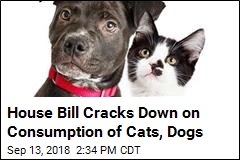 House Bill Cracks Down on Consumption of Cats, Dogs