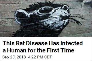 This Rat Disease Has Infected a Human for the First Time
