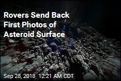 Rovers Send Back First Photos of Asteroid Surface