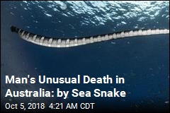 Man&#39;s Sea Snake Death Believed to Be Australia&#39;s First