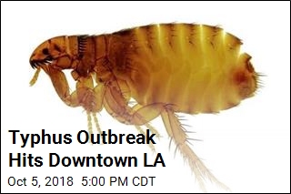 Typhus Outbreak Hits Downtown LA