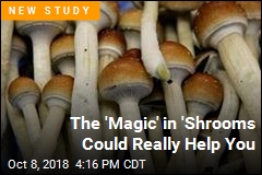 The &#39;Magic&#39; in &#39;Shrooms Could Really Help You