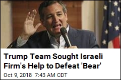 Trump Team Sought Israeli Firm&#39;s Help to Defeat &#39;Bear&#39;