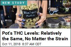 Think That Pot Strain Is Way Stronger Than Most? Maybe Not
