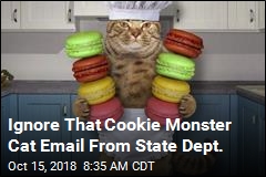Ignore That Cookie Monster Cat Email From State Dept.