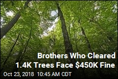 Brothers Who Cleared 1.4K Trees Face $450K Fine