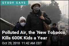 Polluted Air, the &#39;New Tobacco,&#39; Kills 600K Kids a Year