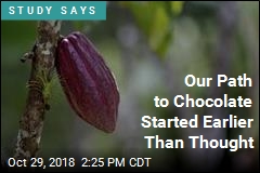 Our Path to Chocolate Started Earlier Than Thought
