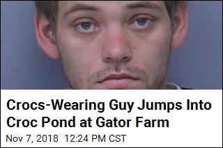Crocs-Wearing Guy Jumps Into Croc Pond at Gator Farm