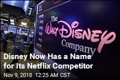 Disney Reveals Name of New Netflix Rival