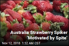 Australia Strawberry Spiker &#39;Motivated by Spite&#39;