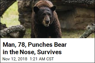 Man, 78, Survives Attack After Punching Bear