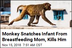 Monkey Snatches Newborn From Mother&#39;s Arms, Kills Him