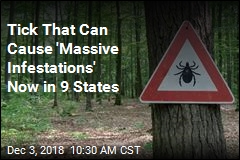 Tick That Can Cause &#39;Massive Infestations&#39; Now in 9 States