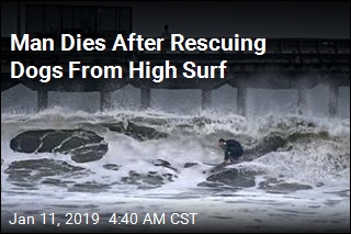 Man After Rescuing Dogs From High Surf