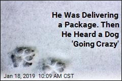 He Was Delivering a Package. Then He Heard a Dog &#39;Going Crazy&#39;