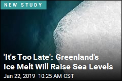 &#39;It&#39;s Too Late&#39;: Greenland&#39;s Ice Melt Will Raise Sea Levels