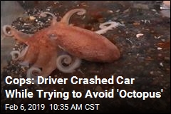 Cops: Driver Crashed Car to Avoid Nonexistent Octopus