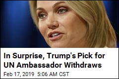 In Surprise, Trump&#39;s Pick for UN Ambassador Withdraws