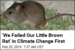 Climate Change Has Wiped Out This Mammal