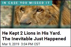 Attacked Again by a Pet Lion. This Time, Fatally