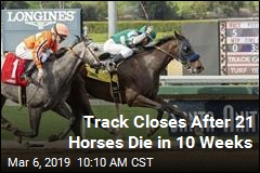 Horse Track Blows Past 2018 Death Toll in 10 Weeks
