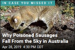 Why Poisoned Sausages Fall From the Sky in Australia