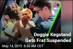 Frat Suspended After Dog Does Kegstand