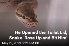 He Opened the Toilet Lid, Snake &#39;Rose Up and Bit Him&#39;