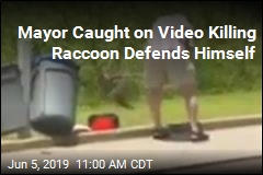 Video Captures Mayor Beating Raccoon to Death