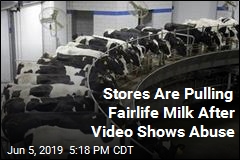 Stores Are Pulling Fairlife Milk After Video Shows Abuse
