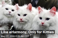 Like eHarmony, Only for Kitties