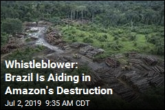 Whistleblower: Brazil Is Aiding in Amazon&#39;s Destruction