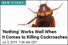 They Spent Months Trying to Kill Cockroaches, Mostly Failed