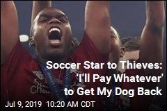 Soccer Star Begs Thieves: Return My Dog