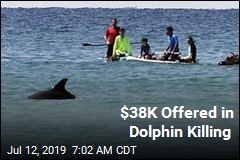 $38K Offered in Dolphin Murder Case