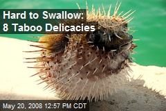 Hard to Swallow: 8 Taboo Delicacies