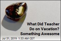 What Did Teacher Do on Vacation? Something Awesome