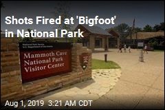 Man Fires at &#39;Bigfoot&#39; in National Park
