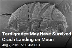 Tardigrades May Have Survived Crash Landing on Moon