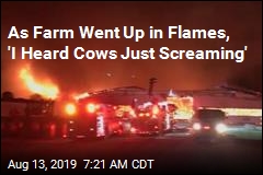 As Farm Went Up in Flames, &#39;I Heard Cows Just Screaming&#39;