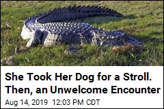 Gator Bites Woman Walking Her Dog in South Carolina