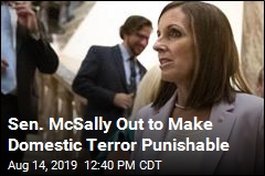 GOP Sen. McSally to Make Move Against Domestic Terror