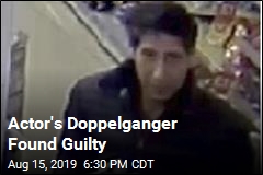 David Schwimmer Lookalike Found Guilty of Thefts
