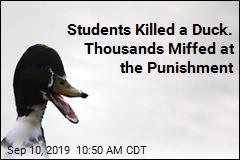 These Students Killed a Duck. Thousands Are Miffed at the Punishment