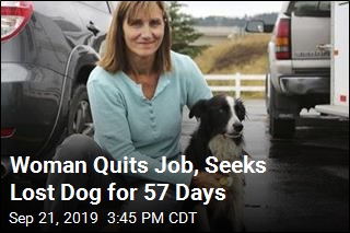 Woman Quits Job, Seeks Lost Dog for 57 Days