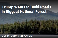 Feds Want to Ditch &#39;Roadless Rule&#39; in Biggest National Forest
