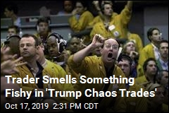Trader Smells Something Fishy in &#39;Trump Chaos Trades&#39;