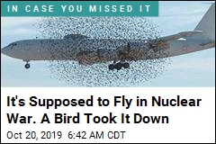 It&#39;s Supposed to Fly in Nuclear War. A Bird Took It Down