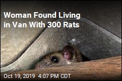 Woman Found Living in Van With 300 Rats
